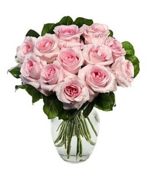 12 Pink Rose Romance