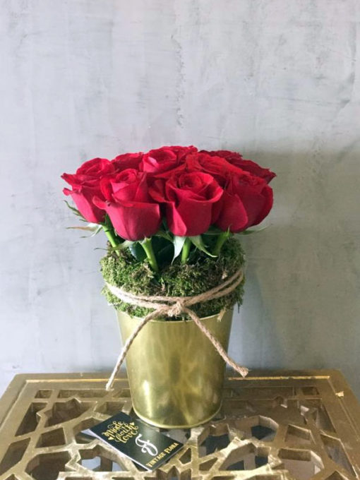 12 Roses of Christmas