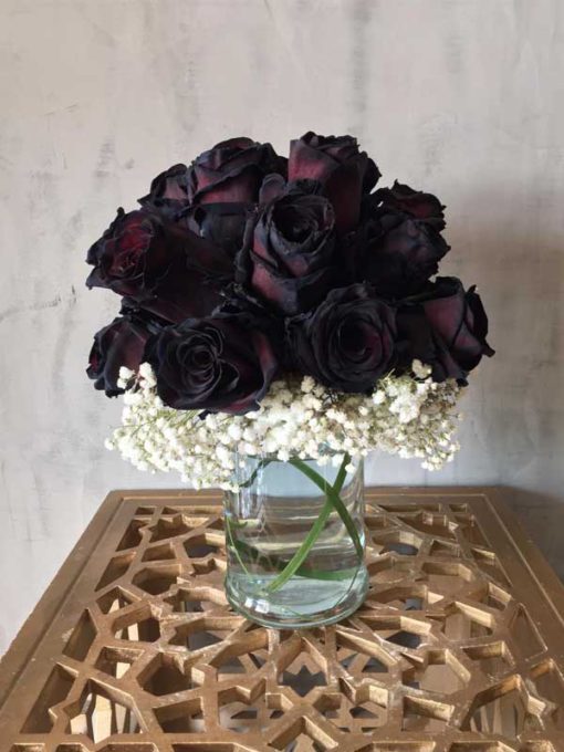 Hidden Elegance