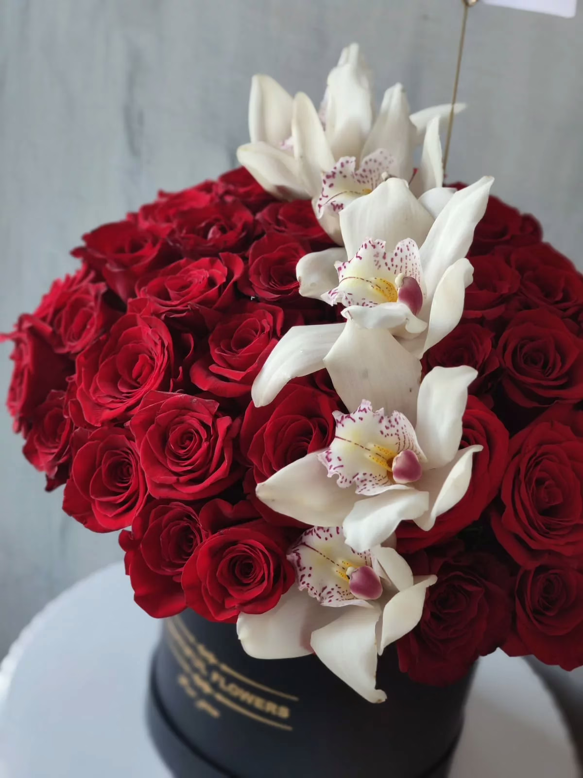 Butterflies - Image 2