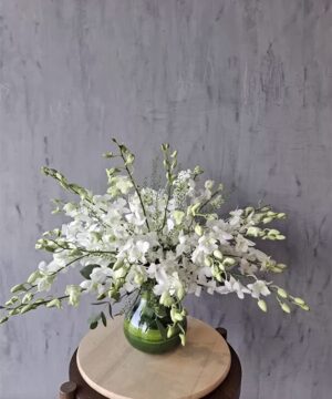White Orchid Elegance