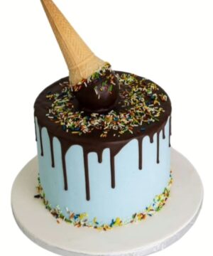 Blue Cone Theme Cake & Flowers