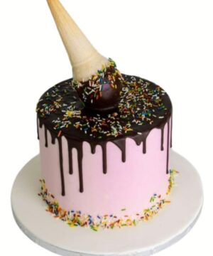 Pink Cone Theme Cake & Flowers