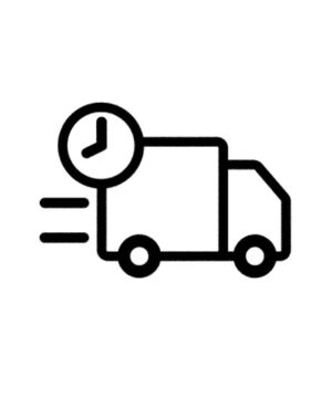 Same-Day Delivery