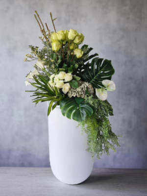 A Statement Of Sophistication