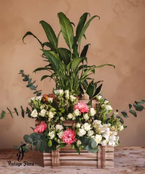 Tiered Garden